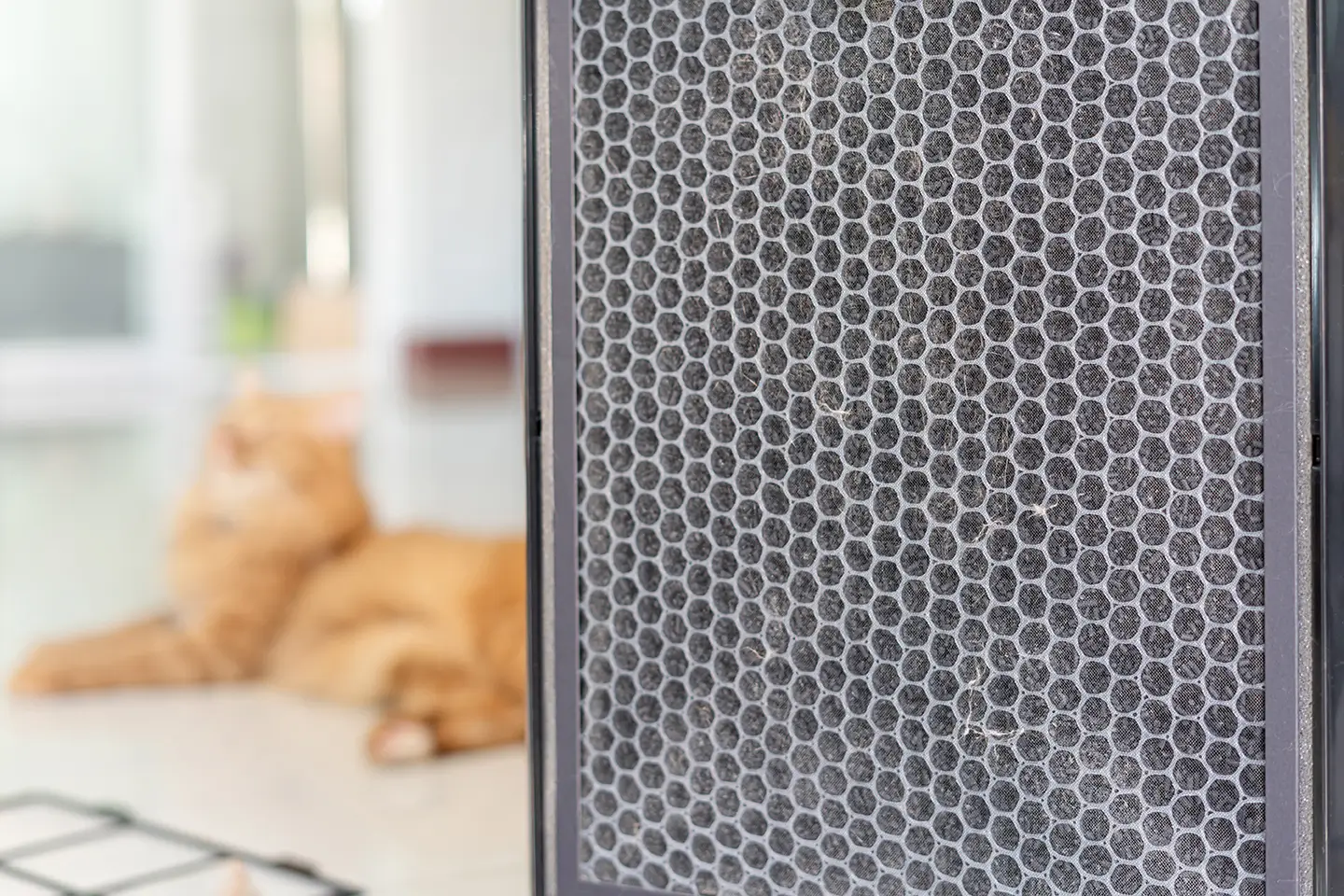 Air Filtration Systems Air Filtration Systems
